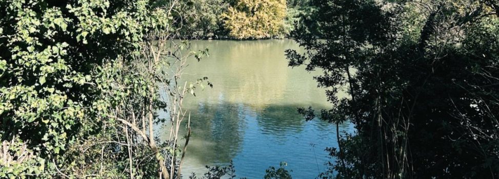 The Secret Lives of Familiar Rivers: The Triple Home River Bioblitz 2025